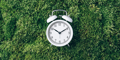 White clock on green leaves