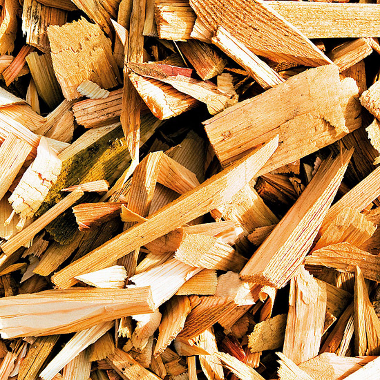 Wood chips