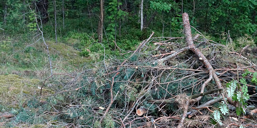 Residual waste from forestry operations 