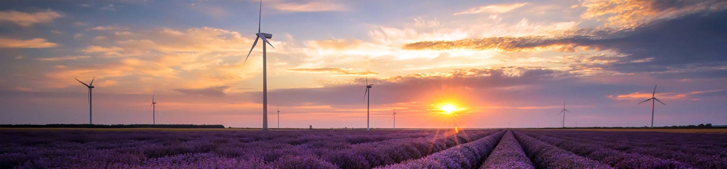 Flowers and wind turbine