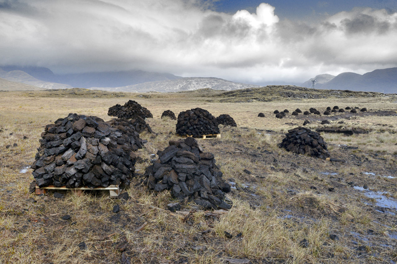 Piles of turf left for drying in Ireland