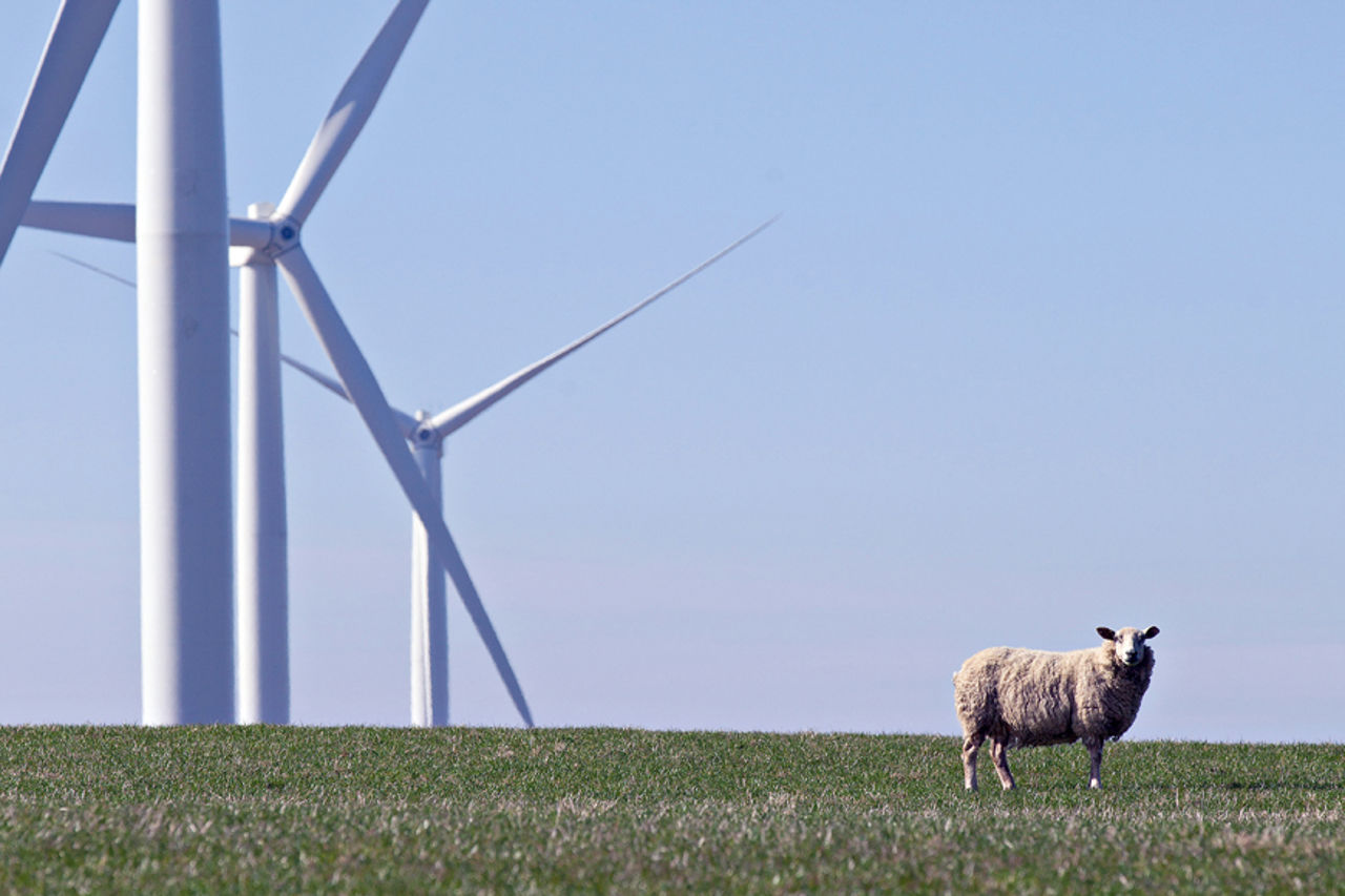 Baillie wind farm